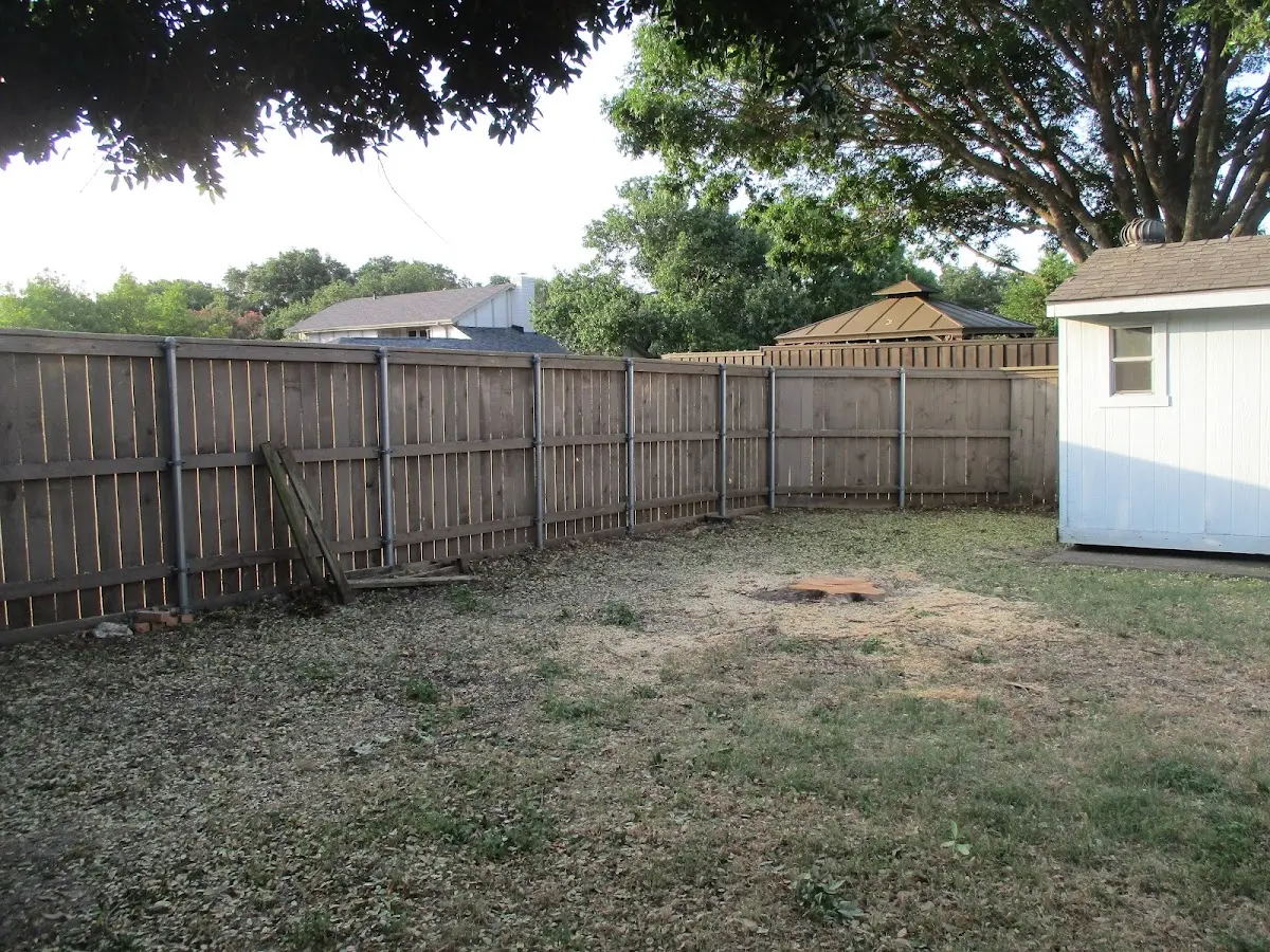 Cleared yard after professional tree removal in Eskdale
